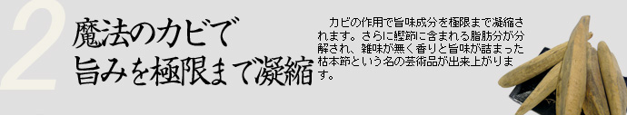 魔法のカビで旨みを極限まで凝縮