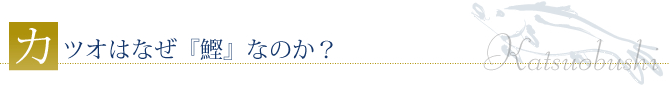 カツオはなぜ『鰹』なのか？