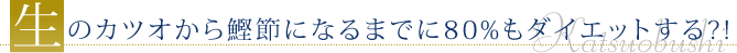 生のカツオから鰹節になるまでに80％もダイエットする？！